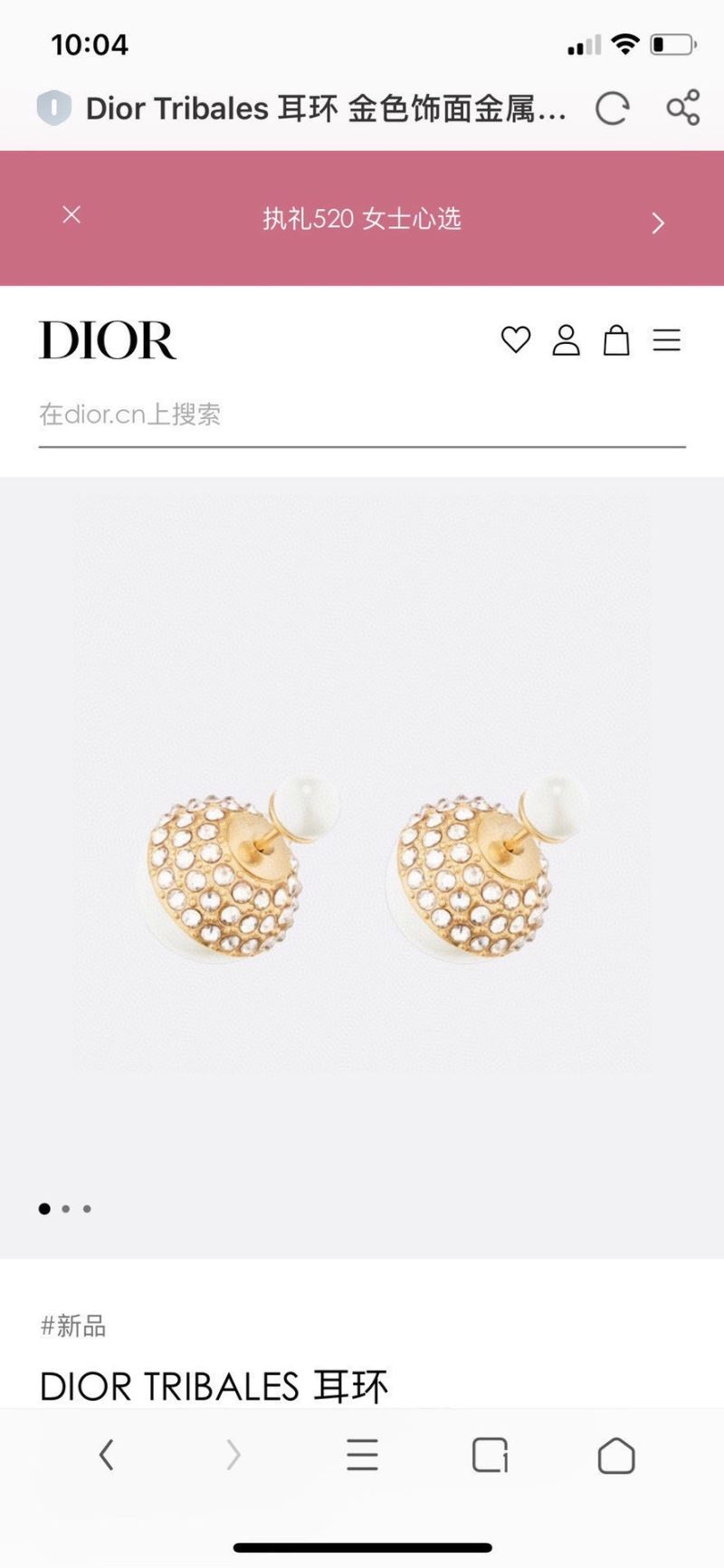 Christian Dior Earrings